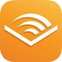 Audible button