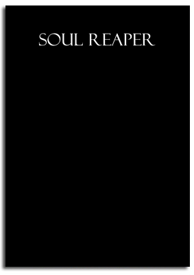 Soul Reaper book cover